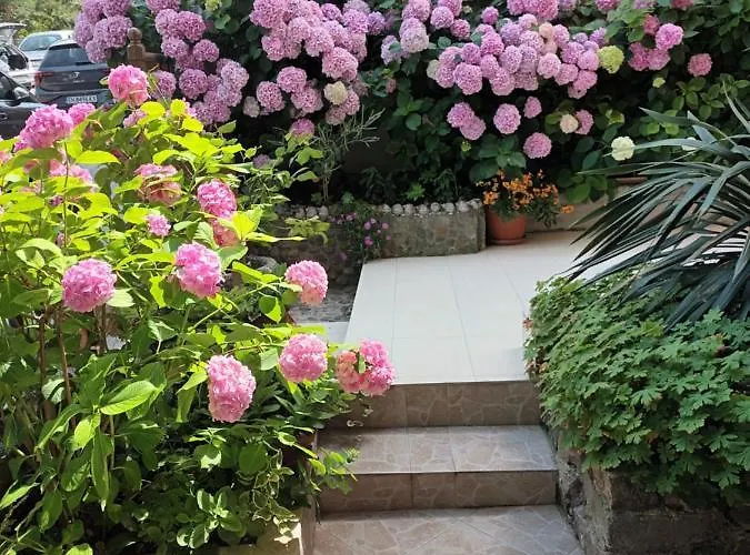 къща катерков Gasthuis 4*